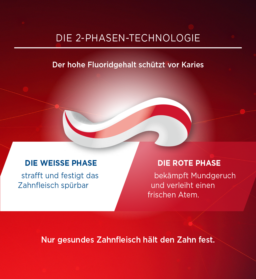 LACALUT® aktiv PLUS | Lacalut